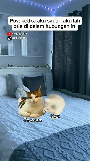 Meme Kucing: Cowok Penakut dan Lucu