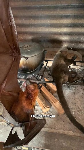 MENU FAVORIT ORANG DAYAK!!! #vlog #menusederhana | Elvi Kerayau