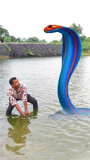 Anaconda snake in real life P1#shorts #short #snake #nagin #python #anaconda #snakes #bigsnake