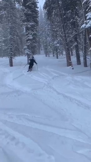 The Greatest Snow on Earth has SHOWN. UP. ❄️ Is it time to book in your next ski trip? ✅ With this month’s storms, Utah resorts have claimed four of the top five titles for most snow in the country with a season total of over 10m in the highest elevations so far! | Visit Utah