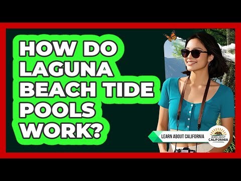 How Do Laguna Beach Tide Pools Work? - Learn About California