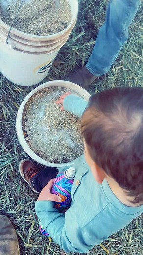 S’more Fill marshmallows are the best🤣 #sunglofeeds #stockshowkids