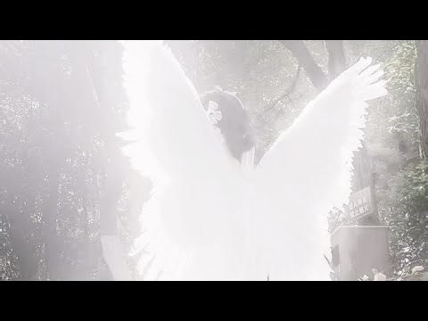 𝓐𝓻𝓮 𝓾 𝓪𝓷 𝓪𝓷𝓰𝓮𝓵 Angel Yandere subliminal