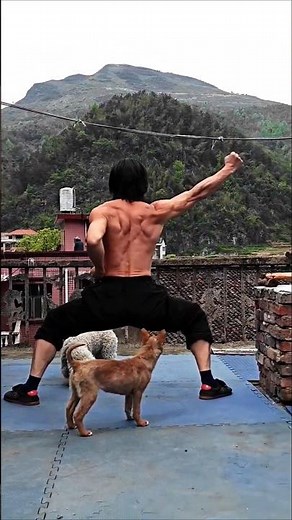 Rooted Power Training⚡Kung Fu Strength & Speed Conditioning
