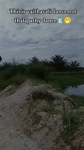 Vaithavali Dance Highlights from Thalapathy Live Event