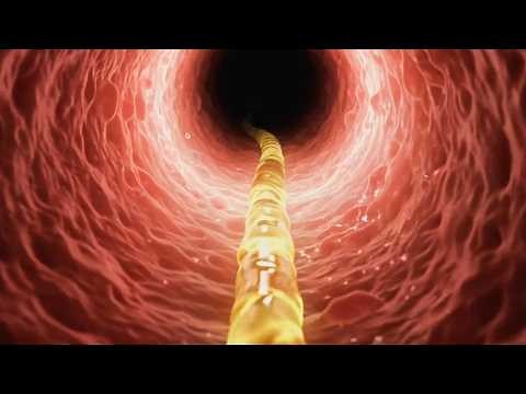 How is Urine Formed – Kidneys, Nephrons, and Filtration Explained