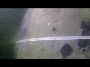 Divers begin defusing huge unexploded WW2 bomb