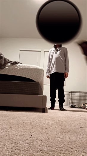 Amanda on Instagram: "My teenager tried to do the SpongeBob trend and our dog stole the show lol 😂 #bigguy #fyp #spongebob #icespice #bostonterrier"