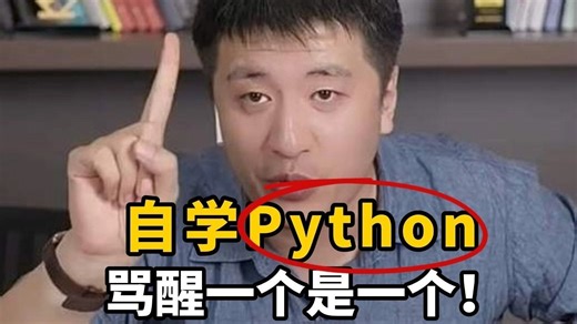 【全748集】目前B站最全最细的Python零基础全套教程，2024最新版，包含所有干货！七天就能从小白到大神！少走99%的弯路！存下吧！很难找全的！