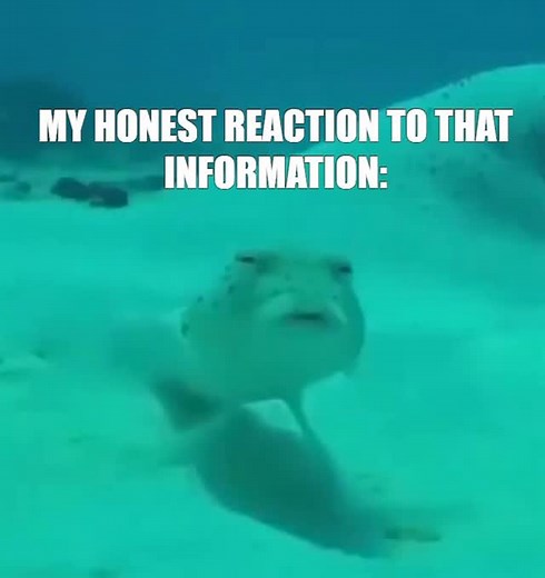  Fish Fact Friday  on Instagram: "We don’t know how to spell Homunculus she just sends me frog and bird pictures on the regular @lauchner_exotics"