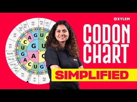 Codon Chart Simplified | Xylem NEET 2026