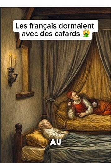 Les français dormaient avec des cafards 🤮 #moyenage #histoire #mystere #france #faitchoquant
