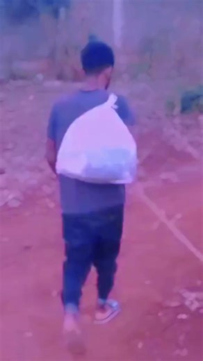 sole solr (@sole.solr4)’s videos with original sound - Neossinia