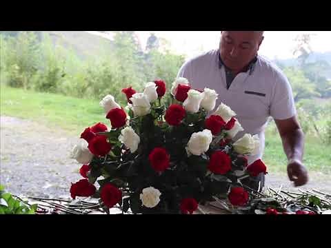 How to make a floral arrangement with red and white roses