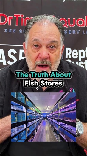 Understanding Fish Store Practices: Ensure Compatibility