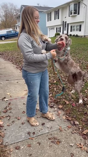 Archer: Before 🤣 Stay tuned for after! | Sit 'n Stay Training