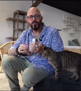 This Is How You Clicker Train A Cat! #shorts