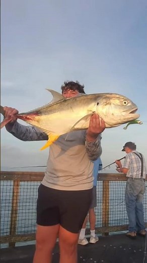 Huge Crevalle jack #fishing Don Holifield