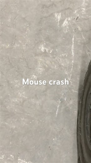 Mouse crash