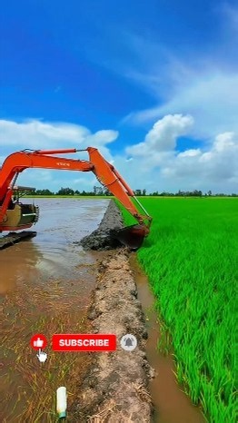 🚜 A Giant Excavator Builds Rice Field Banks! 🌾 #satisfying #farming #vietnamfarming