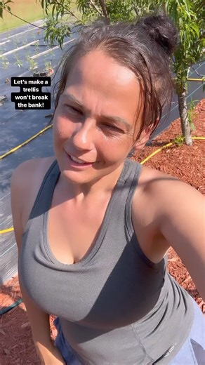 Create an affordable garden trellis for your lightweight plants such as cucumbers, peas, and beans using simple materials like sticks if you don’t have bamboo. Look around for inexpensive options in your area; for instance, old broomsticks or recycled pool pipes work well. Save money by being resourceful and exploring alternatives instead of paying high prices at garden stores for trellises. #reuse #recycle #gardentrellises #homemadetrellis #diytrellis #trellis #garden #gardeningtips #gardeningi