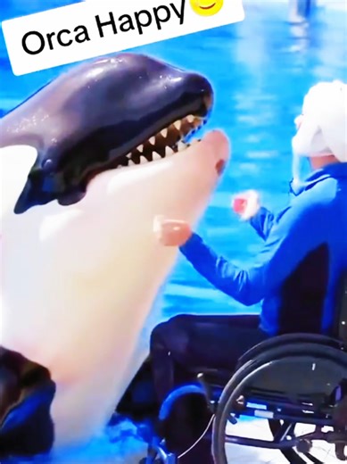 #JessicaDolphin #DolphinLovers #OceanLife #fyp #growmyaccount✅♥️♥️♥️