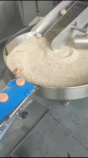 Hudson Hu | reference parameters: production capacity 200–600 kg/h (customizable), conveyor belt width 400/600 mm, double-sided coating from top and... | Instagram