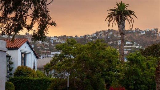 California’s Insurer of Last Resort Under Fire for Denying Smoke Damage Claims