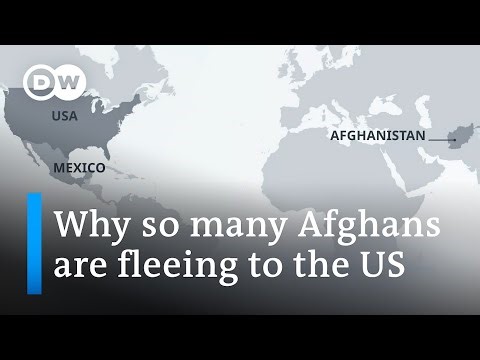 Why are so many Afghans seeking protection in the US? | DW News