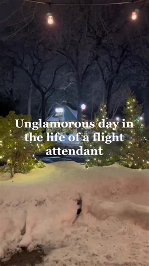 A Day in the Life of a Flight Attendant Vlog