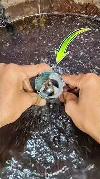 🌊 Repaired 885 Motor Ka Underwater Test 😱 Kya Phir Se Kharab Hogi?