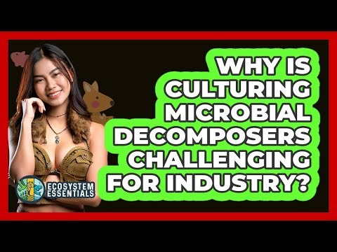 Why Is Culturing Microbial Decomposers Challenging For Industry? - Ecosystem Essentials