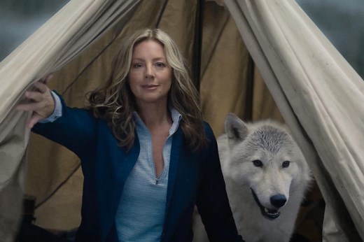 Busch Light Beer Super Bowl commercial with Sarah McLachlan finding \"shelter\"