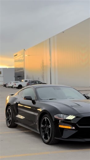 Discovering Money in Canada: Cash Finds and Flexing