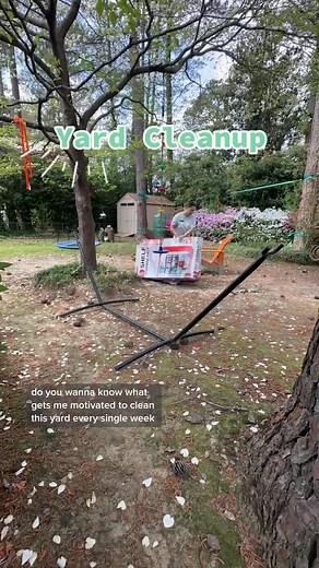 Spring Yard Cleanup: Tackling Projects & Landscape Maintenance