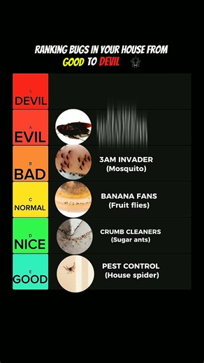Ranking Bugs In Your House From GOOD To DEVIL 🕷️
