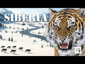 UNTAMED SIBERIA | Among Wolves, Tigers, and Eternal Ice | Full Documentary