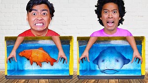 32K views · 194 reactions | DO YOU KNOW WHAT'S IN THE AQUARIUM? | Guava Juice | Facebook