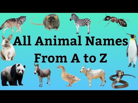 All Animal names from A to Z II Animal Names From A to Z ll List of Animals l A to Z Animal Names