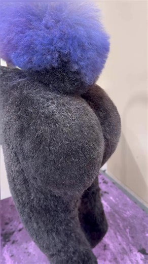 Raikou kardashian #doggrooming #dogs #matteddog #dogvideos #puppy #dogs #dogsbylogan #aussiedoodle #funnydogs #fyp #reels #viral | Dogsbylogan