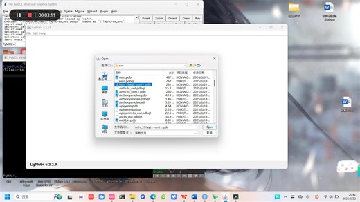 分子对接vina之后pymol合并处理文件进行ligplot的2D可视化
