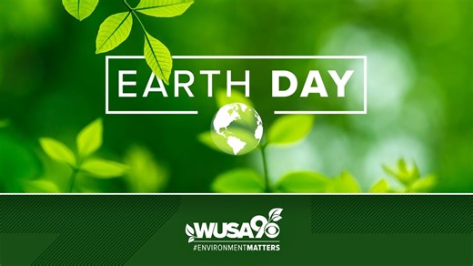 It's Earth Day! Here are ways you can celebrate this weekend