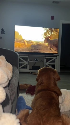 Exploring Netflix's New Dinosaur Show: A Scary Adventure