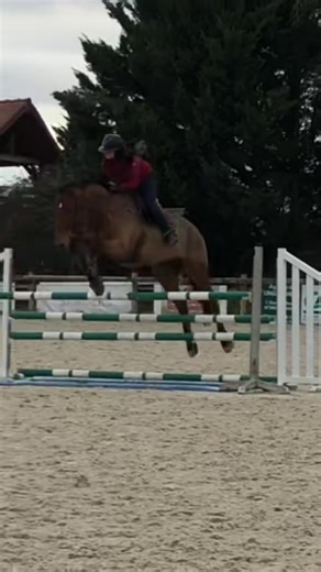 On ressort ce classique 🥲 #cheval #fail #chute #equestrian #cso