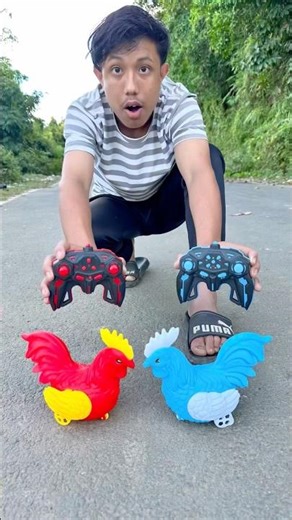 Remote control red cock VS blue cock🔥