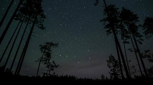 The night sky reveals a breathtaking display of stars above a serene forest. Time lapse of stars move above the silhouettes of trees around a polar star in night sky.