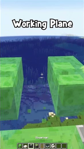 Minecraft 100% Working Plane