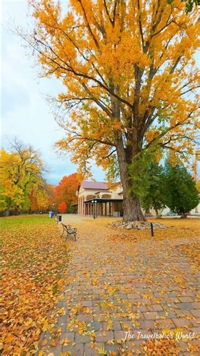 Budapest’s Autumn Paradise 🍁 Margaret Island