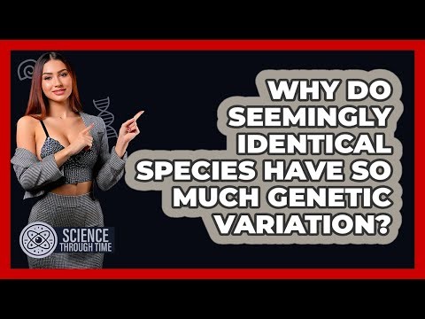 Why Do Seemingly Identical Species Have So Much Genetic Variation? - Science Through Time