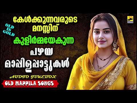 പഴയ മാപ്പിളപ്പാട്ടുകൾ Old Mappilapattukal | Malayalam Mappilapatukal | Pazhaya Mappila Songs
